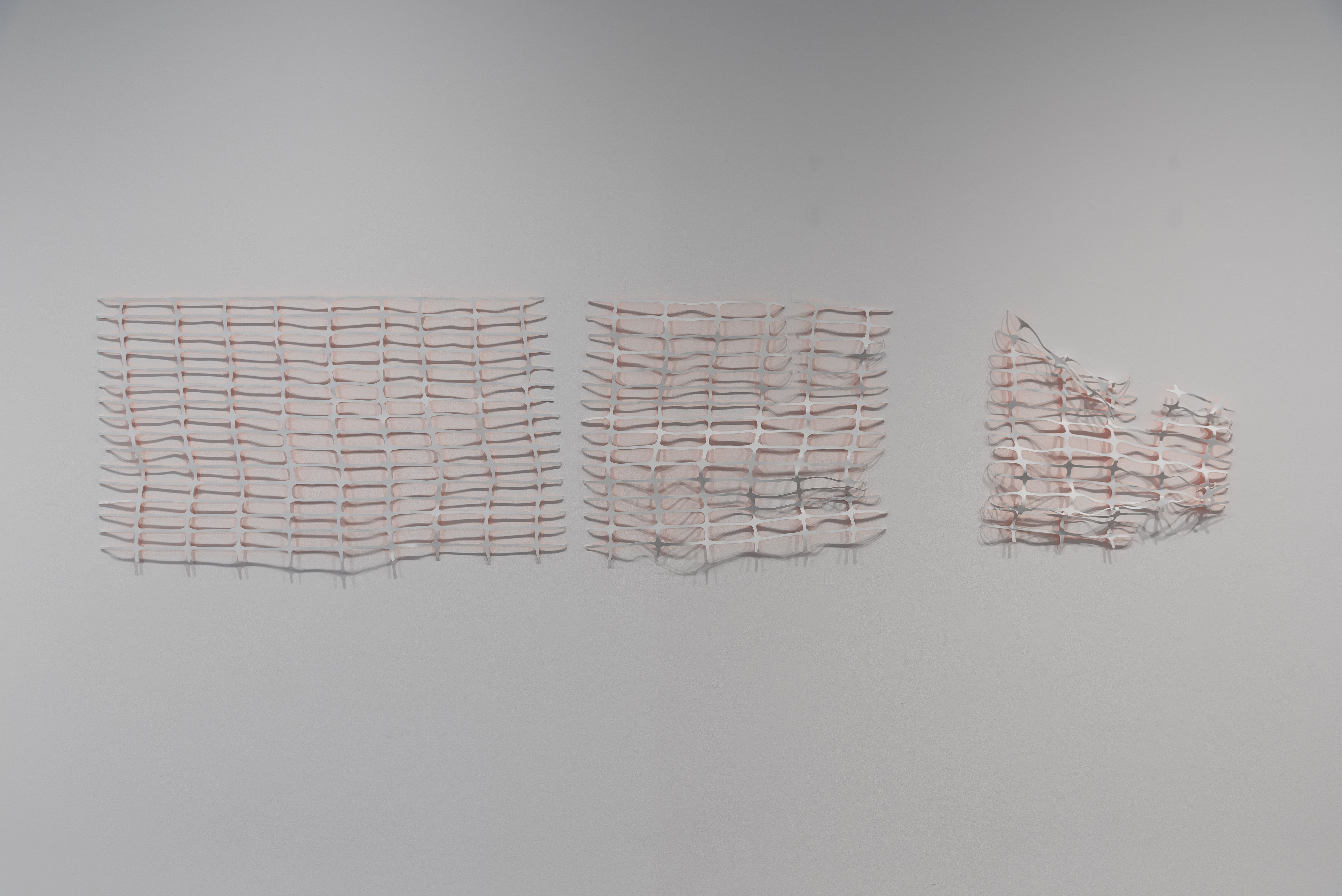 Overlooked Installation exhibits_48 by Natalie Macellaio